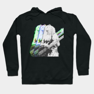 The Nat Attack! Hoodie